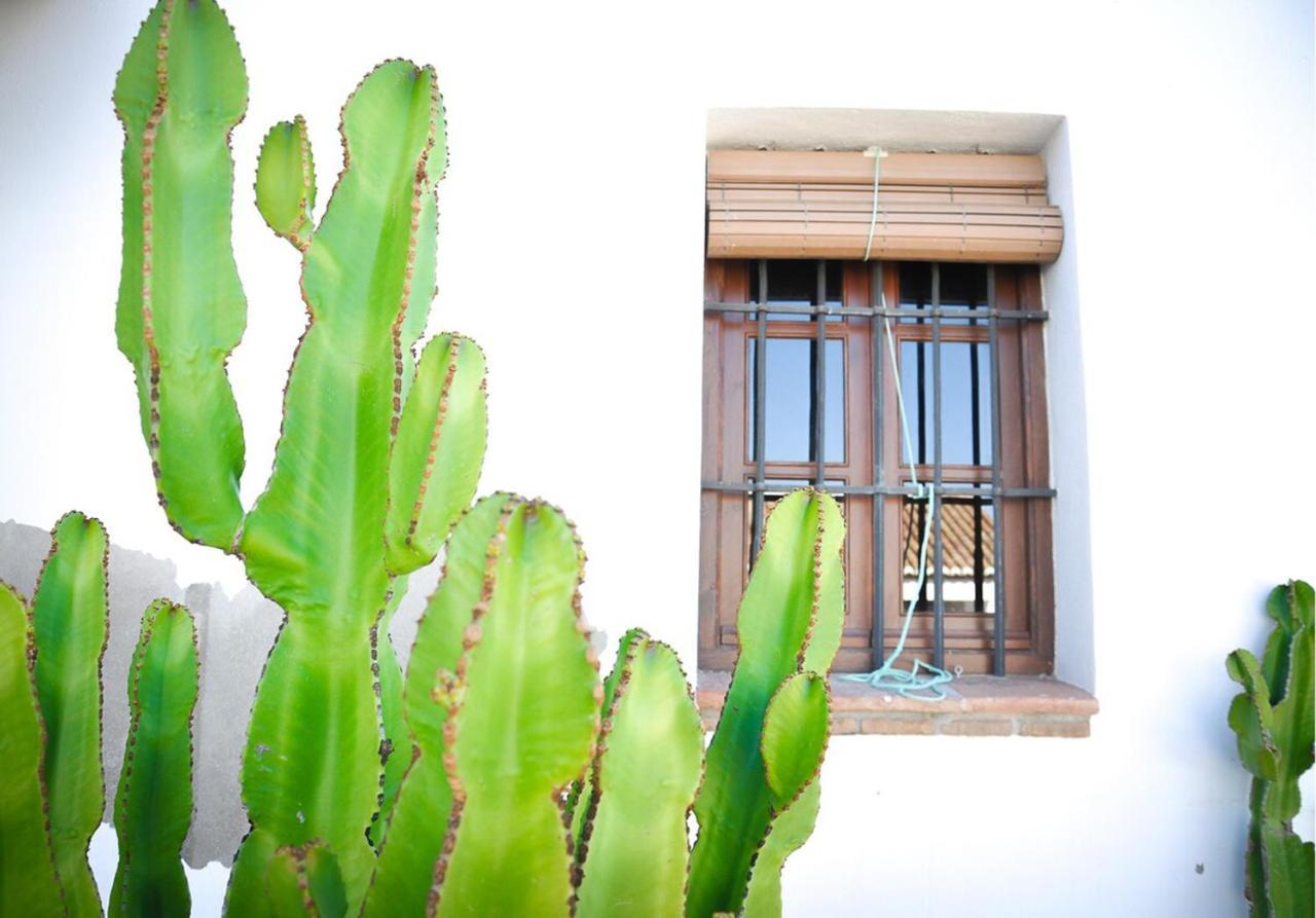 Cortijo Las Caballerias อะโลรา ภายนอก รูปภาพ