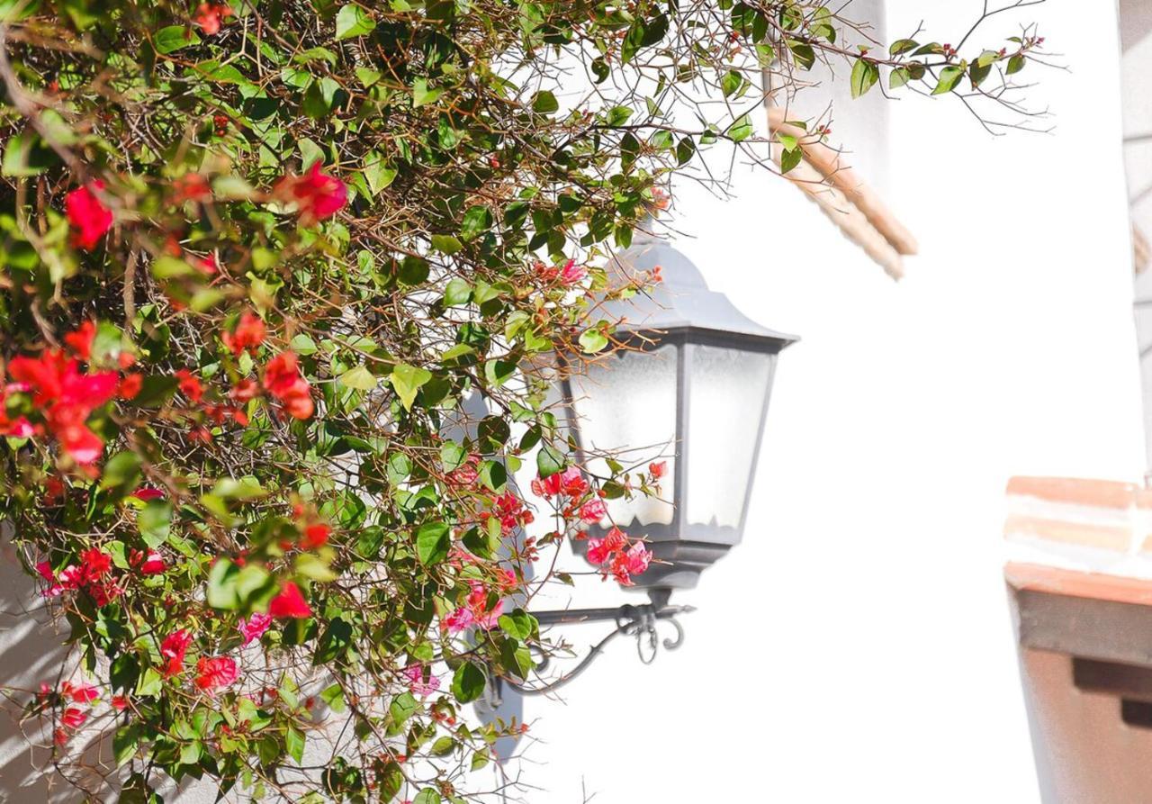 Cortijo Las Caballerias อะโลรา ภายนอก รูปภาพ