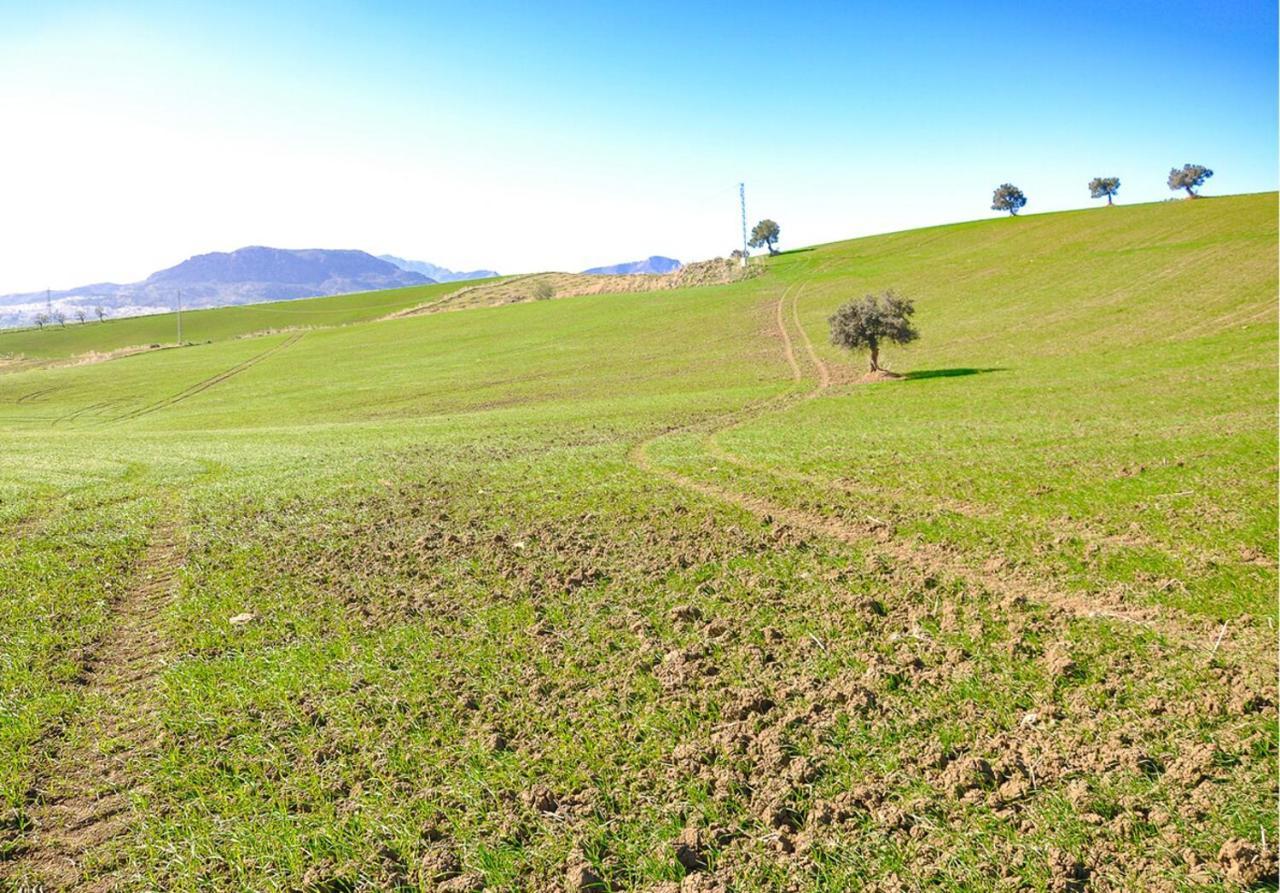 Cortijo Las Caballerias อะโลรา ภายนอก รูปภาพ